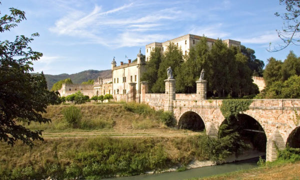 catajo_venicehills.com