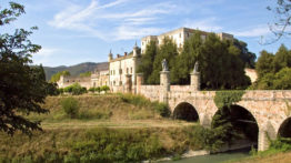 cataio_venicehills.com